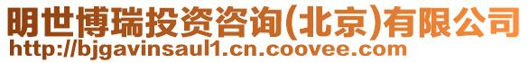 明世博瑞投資咨詢(北京)有限公司