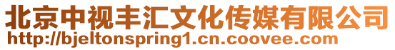 北京中視豐匯文化傳媒有限公司