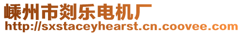 嵊州市剡樂電機廠