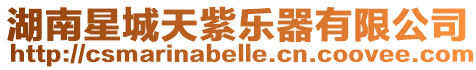 湖南星城天紫樂器有限公司