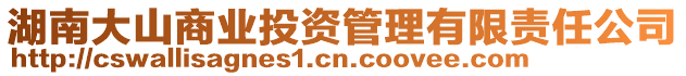 湖南大山商業投資管理有限責任公司