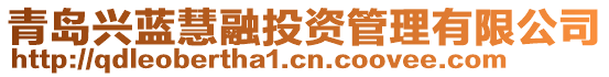 青島興藍(lán)慧融投資管理有限公司