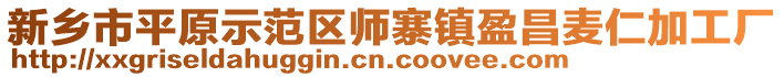 新鄉市平原示范區師寨鎮盈昌麥仁加工廠