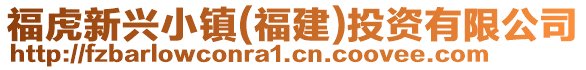 ?；⑿屡d小鎮(zhèn)(福建)投資有限公司