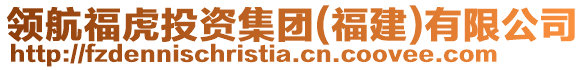領航福虎投資集團(福建)有限公司
