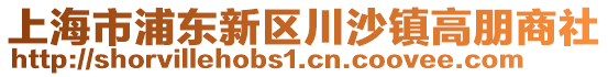 上海市浦東新區(qū)川沙鎮(zhèn)高朋商社