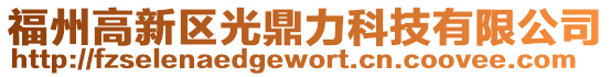 福州高新區光鼎力科技有限公司