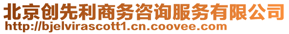 北京創(chuàng)先利商務(wù)咨詢服務(wù)有限公司