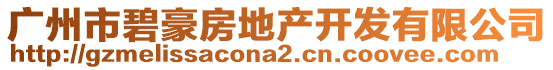 廣州市碧豪房地產(chǎn)開發(fā)有限公司