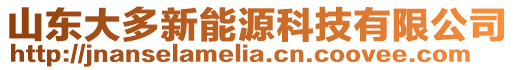 山東大多新能源科技有限公司