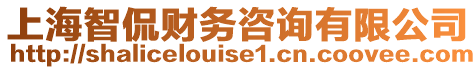 上海智侃財務咨詢有限公司