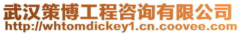 武漢策博工程咨詢有限公司