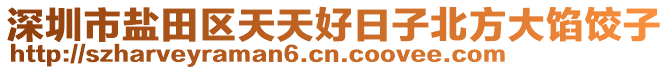 深圳市鹽田區(qū)天天好日子北方大餡餃子