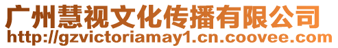 廣州慧視文化傳播有限公司