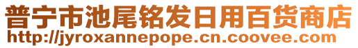 普寧市池尾銘發日用百貨商店