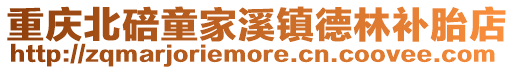重慶北碚童家溪鎮(zhèn)德林補胎店