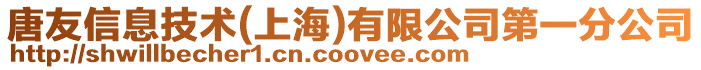 唐友信息技術(shù)(上海)有限公司第一分公司