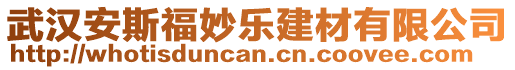 武漢安斯福妙樂建材有限公司