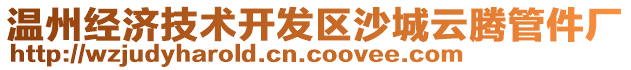溫州經濟技術開發區沙城云騰管件廠