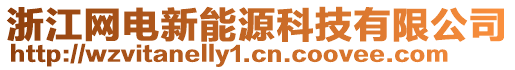浙江網電新能源科技有限公司