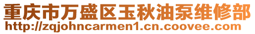 重慶市萬盛區(qū)玉秋油泵維修部
