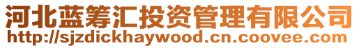 河北藍籌匯投資管理有限公司
