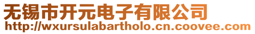 無錫市開元電子有限公司