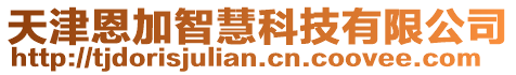 天津恩加智慧科技有限公司