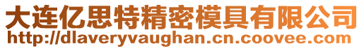 大連億思特精密模具有限公司