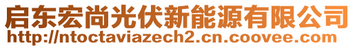 啟東宏尚光伏新能源有限公司