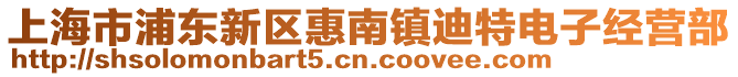 上海市浦東新區惠南鎮迪特電子經營部