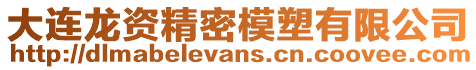 大連龍資精密模塑有限公司