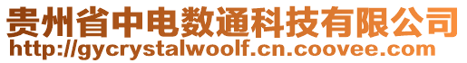 貴州省中電數通科技有限公司