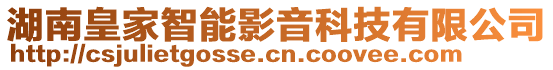 湖南皇家智能影音科技有限公司