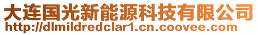 大連國光新能源科技有限公司