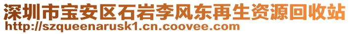 深圳市寶安區(qū)石巖李風(fēng)東再生資源回收站