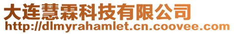 大連慧霖科技有限公司