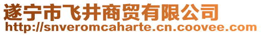 遂寧市飛井商貿有限公司