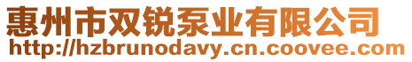 惠州市雙銳泵業有限公司