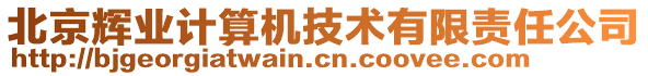 北京輝業(yè)計(jì)算機(jī)技術(shù)有限責(zé)任公司