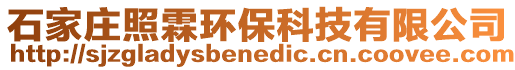 石家莊照霖環(huán)??萍加邢薰? style=