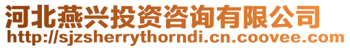 河北燕興投資咨詢有限公司