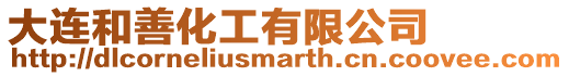 大連和善化工有限公司