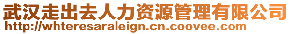 武漢走出去人力資源管理有限公司