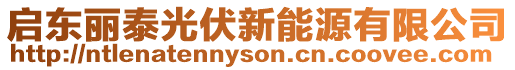 啟東麗泰光伏新能源有限公司