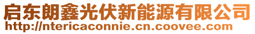 啟東朗鑫光伏新能源有限公司