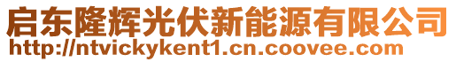 啟東隆輝光伏新能源有限公司