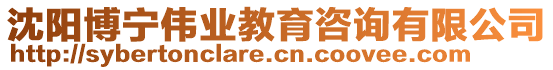 沈陽博寧偉業教育咨詢有限公司