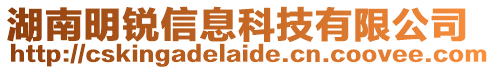 湖南明銳信息科技有限公司