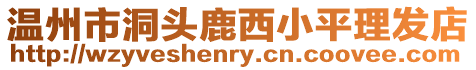 溫州市洞頭鹿西小平理發店